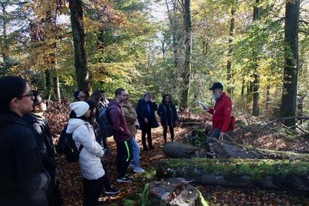 Exkursion im Nationalpark. Gruppe wandert durch Wald.