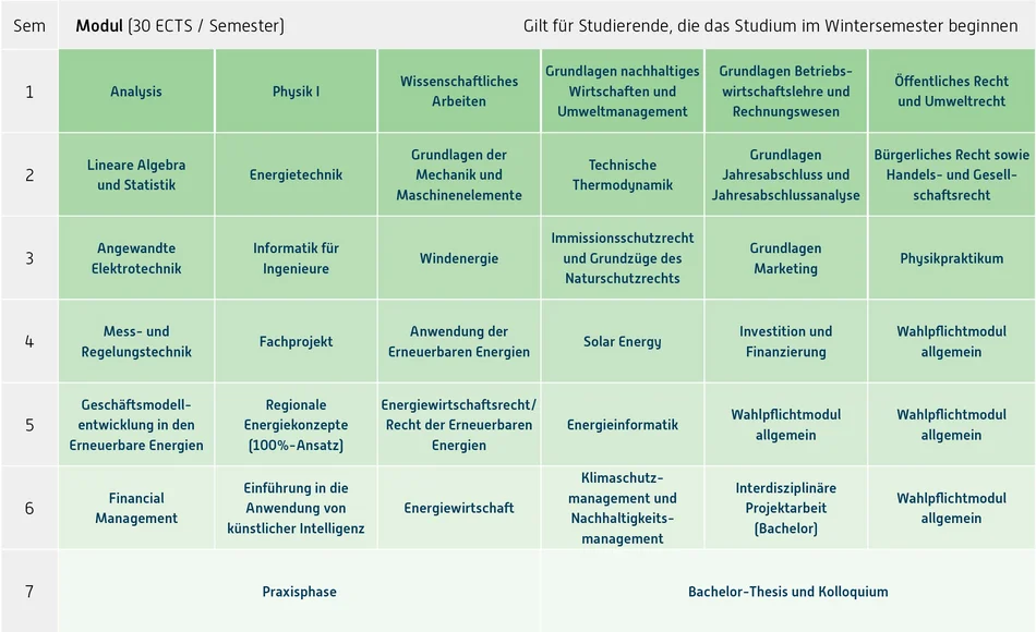 Grafik Curriculum, Inhalt unter Downloads, Fachprüfungsordnung