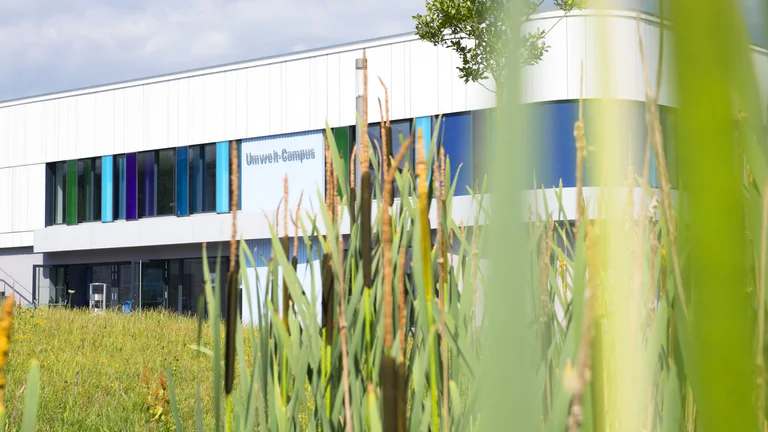 Motivationsbild Kommunikationsgebäude Umwelt-Campus mit Schilf im Vordergrund