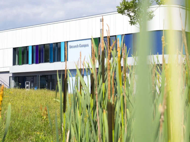 Motivationsbild Kommunikationsgebäude Umwelt-Campus mit Schilf im Vordergrund