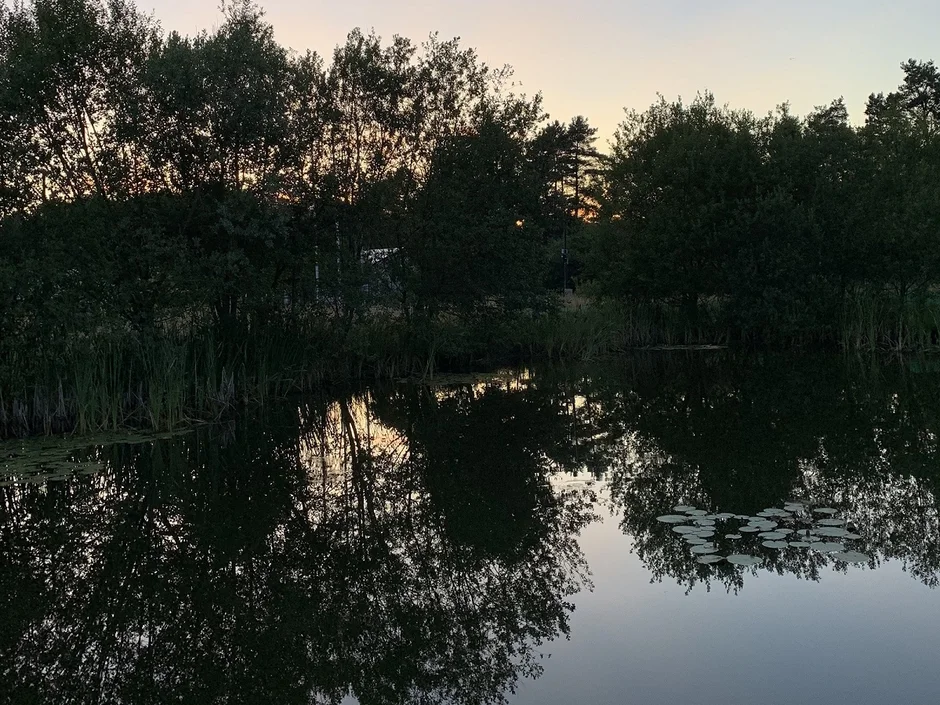 Campus impressions from 2019