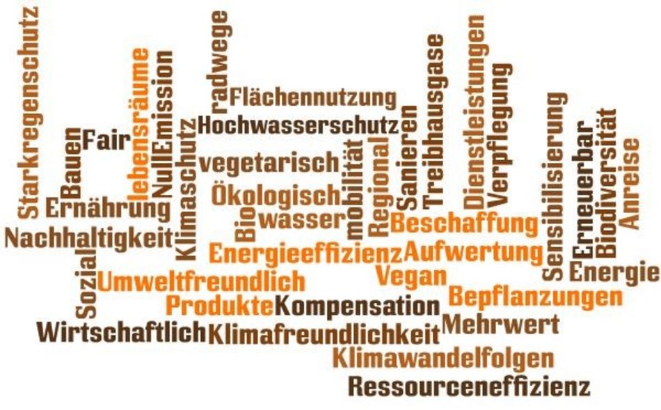 Aspekte der Klimaneutralität (Grafik: IfaS) Wortwolke mit Begriffen aus dem Thema "Klimaneutralität"