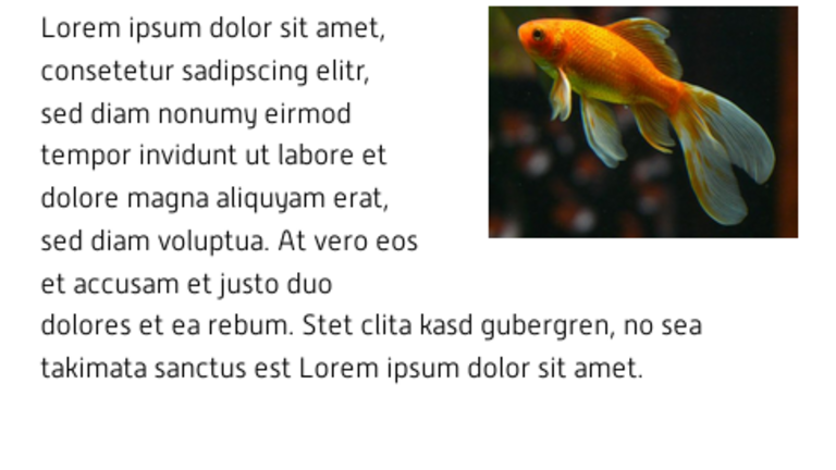 Inhaltselement Text