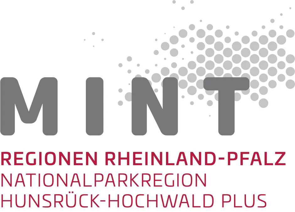 MINT-Region Logo