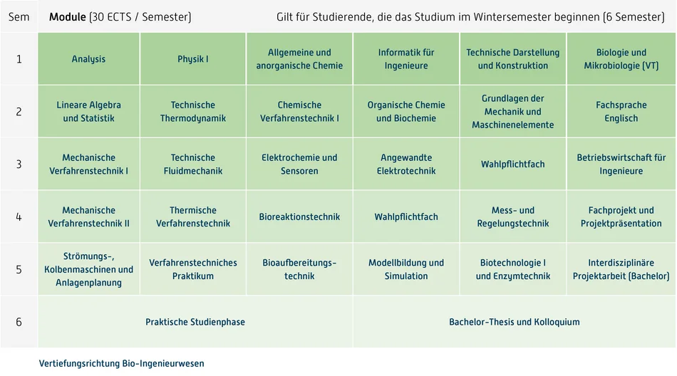 Grafik Curriculum, Inhalt unter Downloads, Fachprüfungsordnung