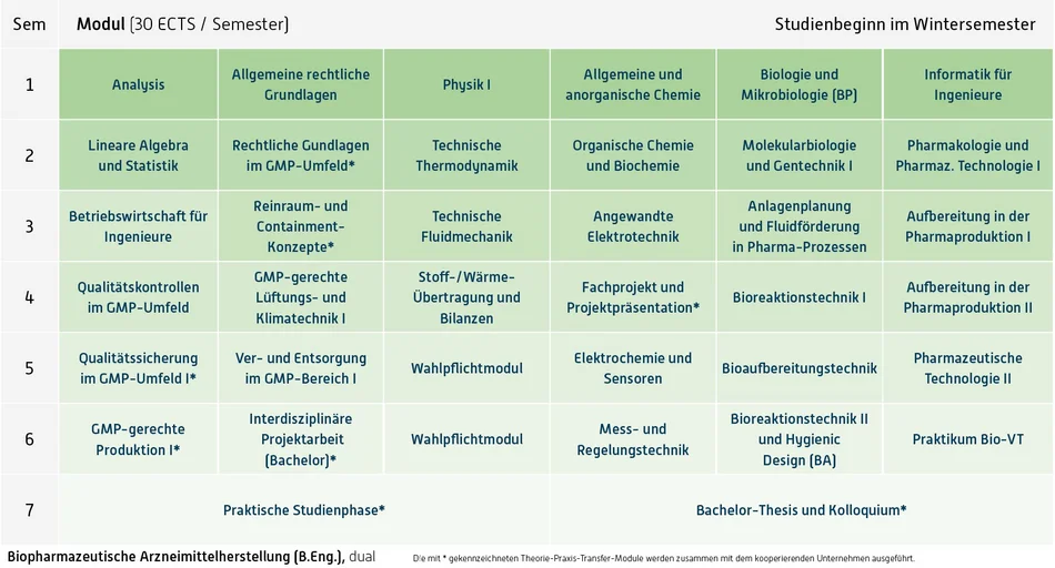Grafik Curriculum, Inhalt unter Downloads, Fachprüfungsordnung