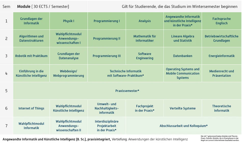Abbildung des Studienverlaufplans aus dem Curriculum des Studiengangs.
