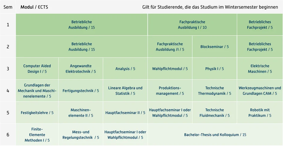 Abbildung des Studienverlaufplans aus dem Curriculum des Studiengangs.