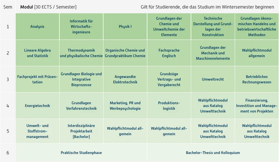 Grafik Curriculum, Inhalt unter Downloads, Fachprüfungsordnung