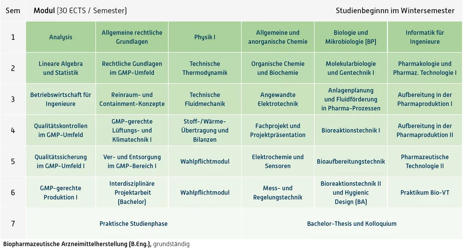 Grafik Curriculum, Inhalt unter Downloads, Fachprüfungsordnung