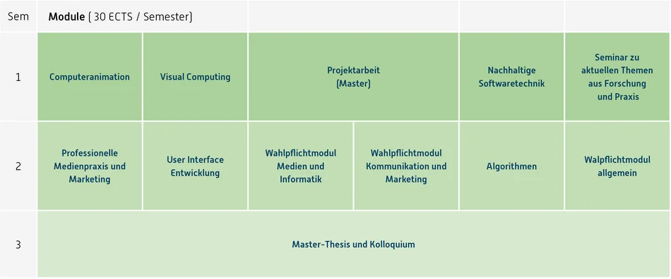Grafik Curriculum, Inhalt unter Downloads, Fachprüfungsordnung