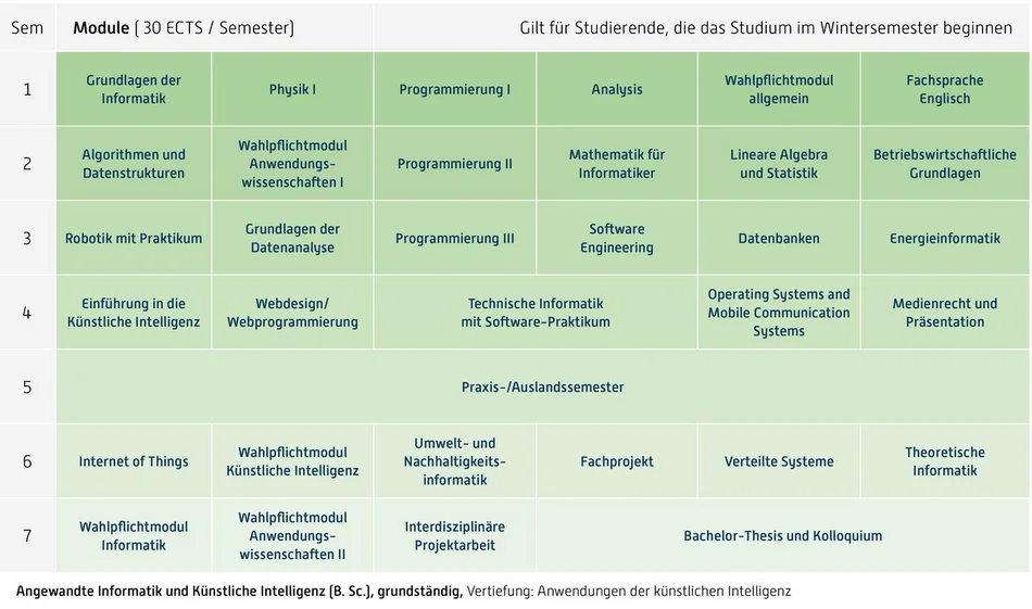 Grafik Curriculum, Inhalt unter Downloads, Fachprüfungsordnung