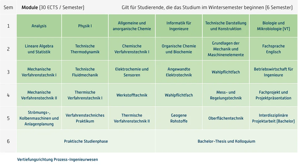 Grafik Curriculum, Inhalt unter Downloads, Fachprüfungsordnung