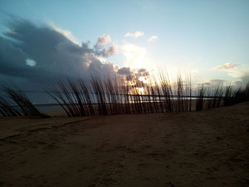 Düstere Wolke über einem Strand mit Reedgras