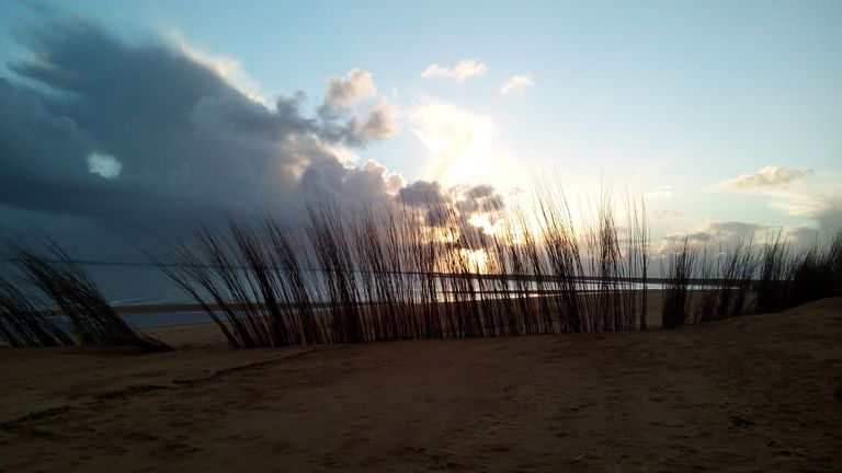 Düstere Wolke über einem Strand mit Reedgras
