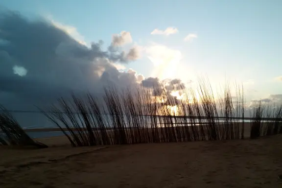 Düstere Wolke über einem Strand mit Reedgras