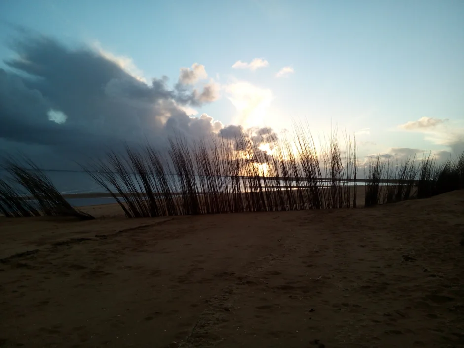 Düstere Wolke über einem Strand mit Reedgras