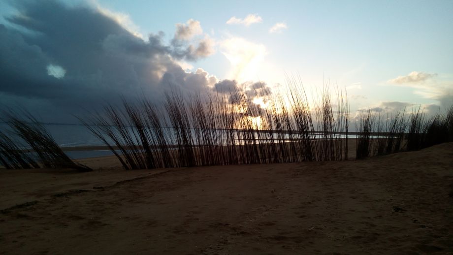 Düstere Wolke über einem Strand mit Reedgras
