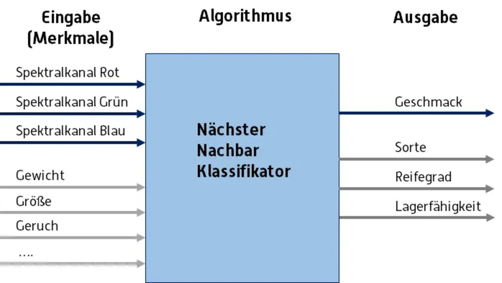 Algorithmus