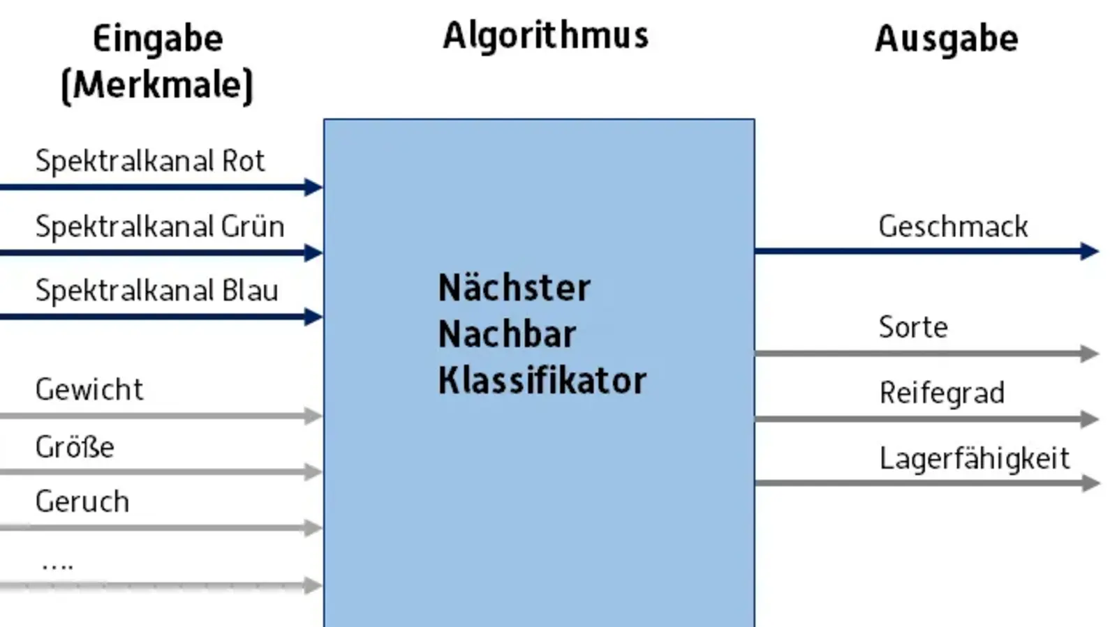 Algorithmus